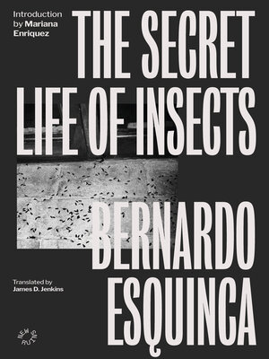 cover image of The Secret Life Of Insects
